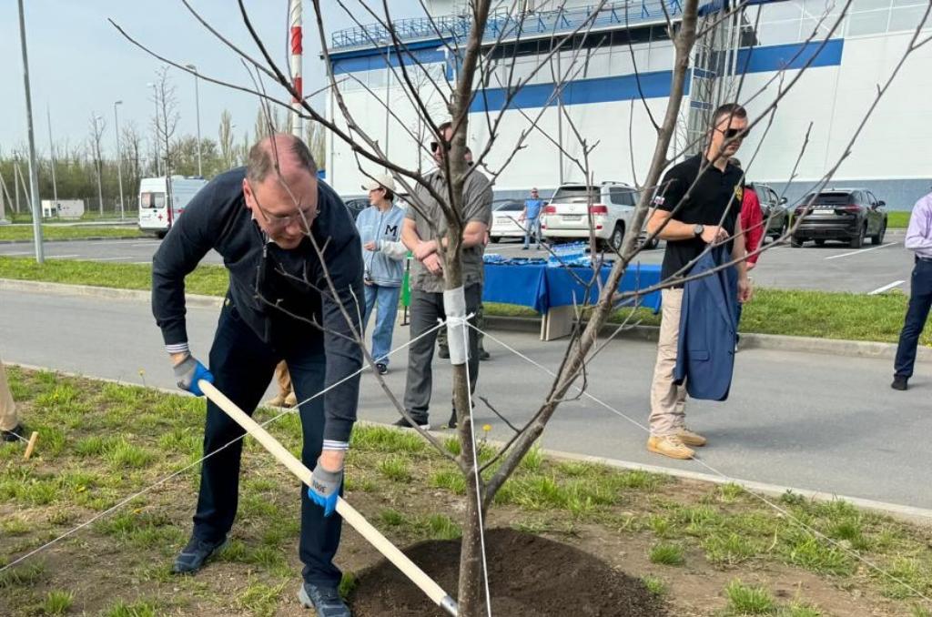 Владимир Ревенко высадил молодые деревья в Орловском районе 