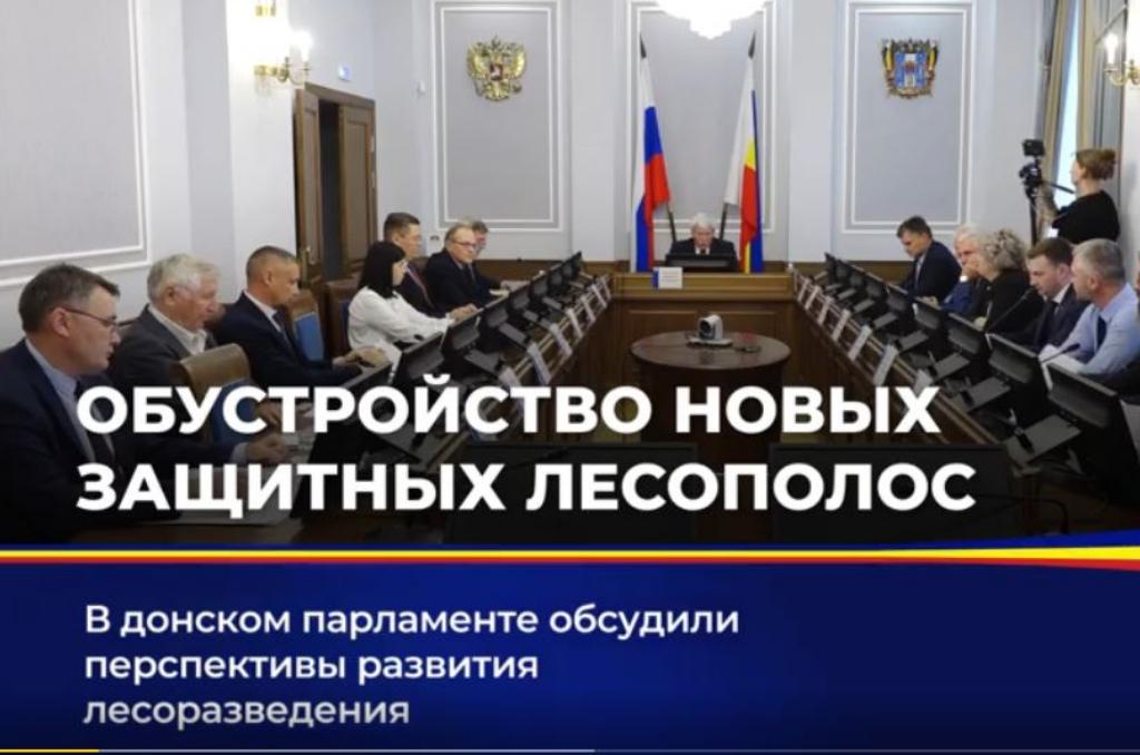 Заседание круглого стола, посвященное развитию защитных лесных насаждений