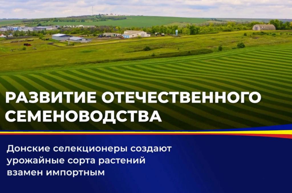 Донские селекционеры создают урожайные сорта растений взамен импортным