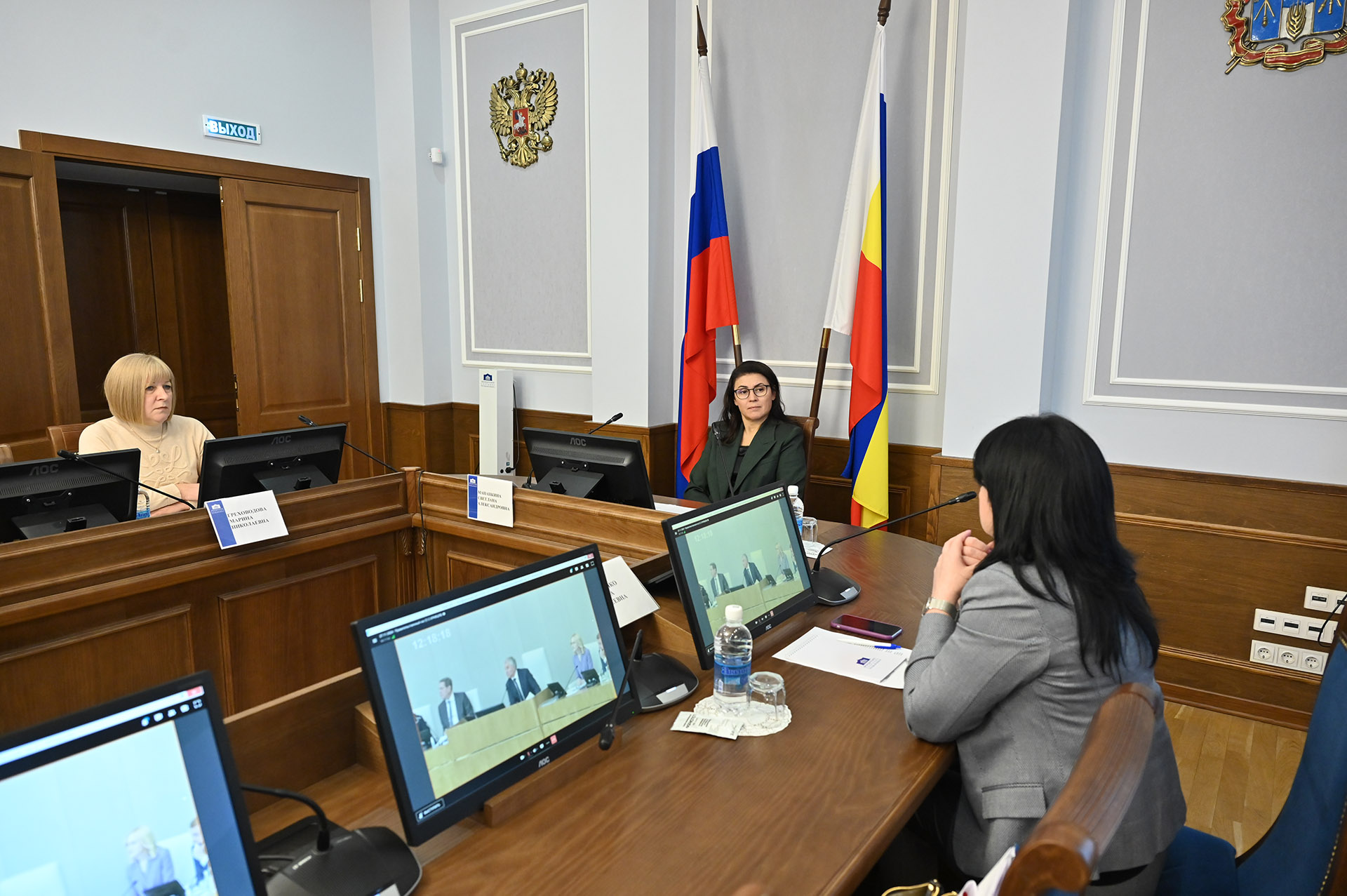 Светлана Мананкина приняла участие в «Правительственном часе» заседания Госдумы
