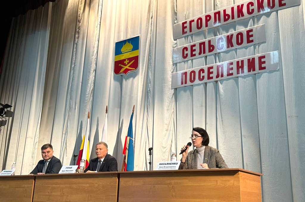 В станице Егорлыкской реализуются инициативные проекты «Сделаем вместе»