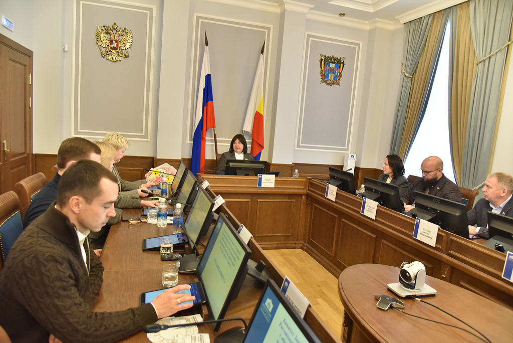 Депутаты продолжат работу по совершенствованию мер поддержки социально ориентированных НКО