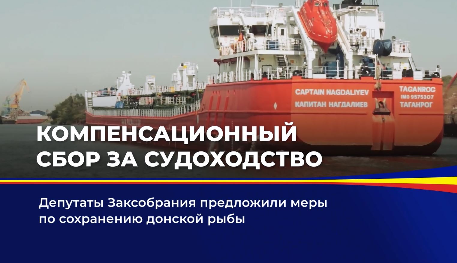 Депутаты Заксобрания предложили меры по сохранению донской рыбы
