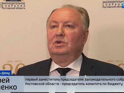 Публичные слушания по проекту областного закона «Об отчете об исполнении областного бюджета за 2023 год»