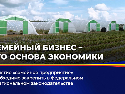 Понятие "семейное предприятие" необходимо закрепить в федеральном и региональном законодательстве