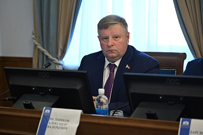 Фотография депутата МЕЛЬНИКОВ Александр Валерьевич №5