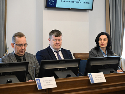Изображение новости Круглый стол на тему «О модернизации лифтового фонда в многоквартирных домах» №10