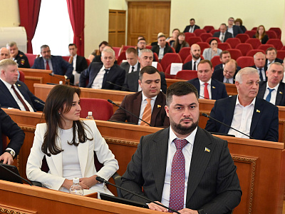 Депутаты донского парламента поддерживают учреждения культуры 