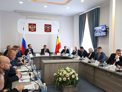 В донском парламенте прошло заседание комиссии Совета Федерации по совершенствованию законодательства в сфере контроля и надзора
