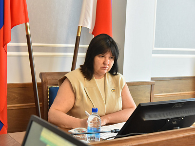 Перспективы развития гражданского общества обсудили в Государственной Думе