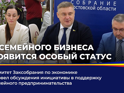 Комитет Заксобрания по экономике провел обсуждение инициативы в поддержку семейного предпринимательства