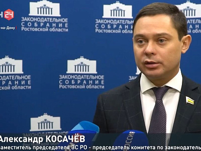Парламенты Дона и Санкт-Петербурга обменялись опытом по оказанию бесплатной юридической помощи