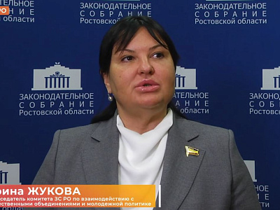 В донском парламенте продолжается работа по поддержке наставничества детей-сирот