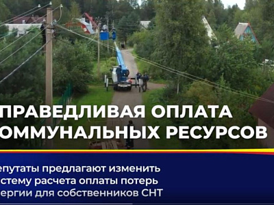 Депутаты предлагают изменить систему расчета оплаты потерь энергии для собственников садовых участков