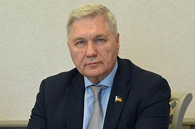 Фотография депутата МИХАЛЕВ Сергей Александрович №16
