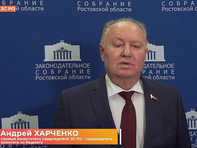 Экспертное обсуждение актуальных вопросов реализации на Дону инициативных проектов