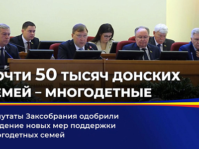 Депутаты Заксобрания одобрили введение новых мер поддержки многодетных семей