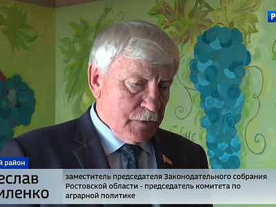 Круглый стол на тему: «О реализации Областного закона «О развитии виноградарства и виноделия в Ростовской области»