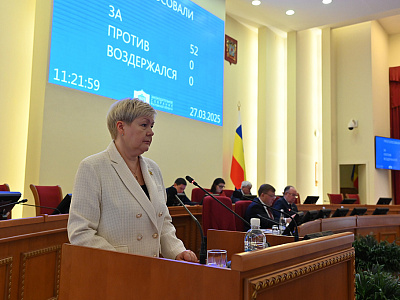 18-е заседание ЗС РО: Упраздняются нормы областного закона о запрете продажи подросткам зажигалок и заправок к ним