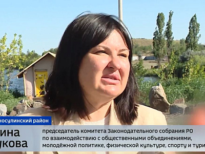Заседание Совета муниципальных молодежных парламентов Ростовской области
