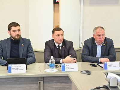 Изображение новости Заседание комитета по социальной политике  №19