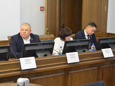 Изображение новости Волонтерскую деятельность по помощи участникам СВО обсудили в донском парламенте №1