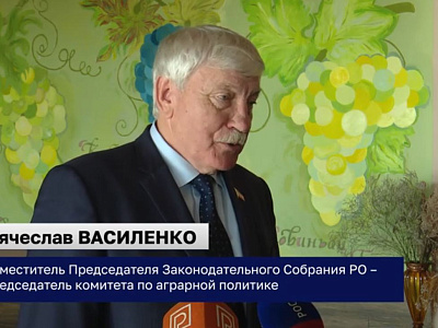 Заседание круглого стола на тему: «О реализации Областного закона «О развитии виноградарства и виноделия в Ростовской области»