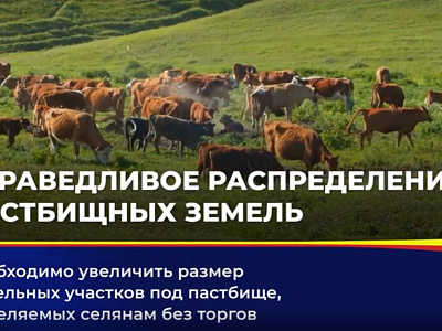 В Ростовской области могут в 2,5 раза увеличить размер участка земли под пастбище для личных нужд