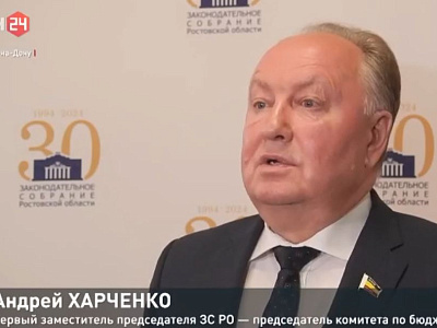 Публичные слушания по проекту областного закона «Об отчете об исполнении областного бюджета за 2023 год»