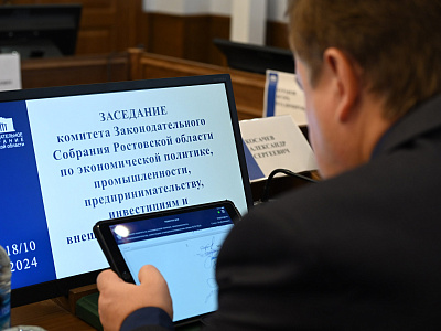 Изображение новости Заседание комитета по экономической политике №10