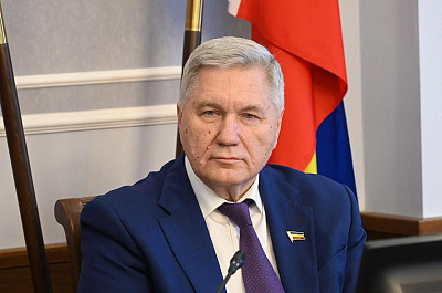 Фотография депутата МИХАЛЕВ Сергей Александрович №17