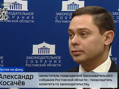 Парламенты Дона и Санкт-Петербурга обменялись опытом по оказанию бесплатной юридической помощи