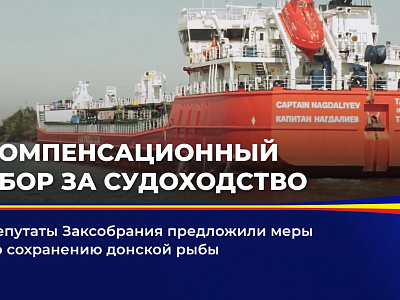 Депутаты Заксобрания предложили меры по сохранению донской рыбы