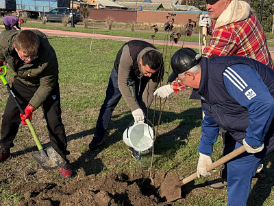 В День древонасаждения Борис Вальтер высадил деревья в городе Батайске 
