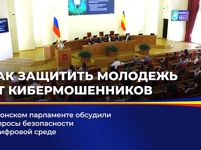В донском парламенте обсудили вопросы безопасности в цифровой среде