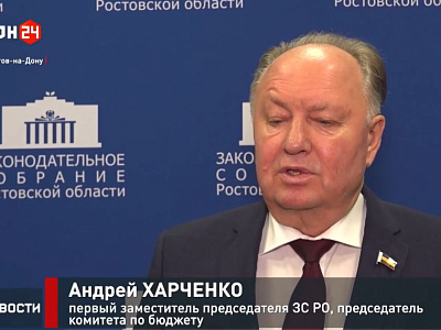 Экспертное обсуждение актуальных вопросов реализации на Дону инициативных проектов