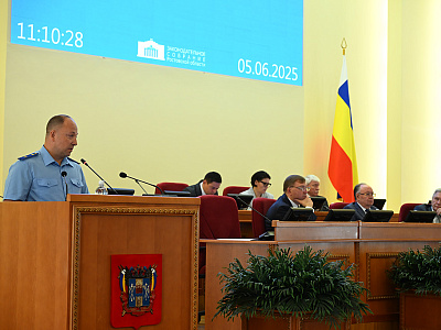 21-е заседание ЗС РО: Для детей до 16 лет установлен запрет купаться в водоемах без родителей и находиться зимой на льду рек и озер 